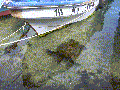 hanga roa caleta